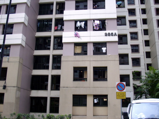 Blk 986A Jurong West Street 93 (Jurong West), HDB 5 Rooms #419112
